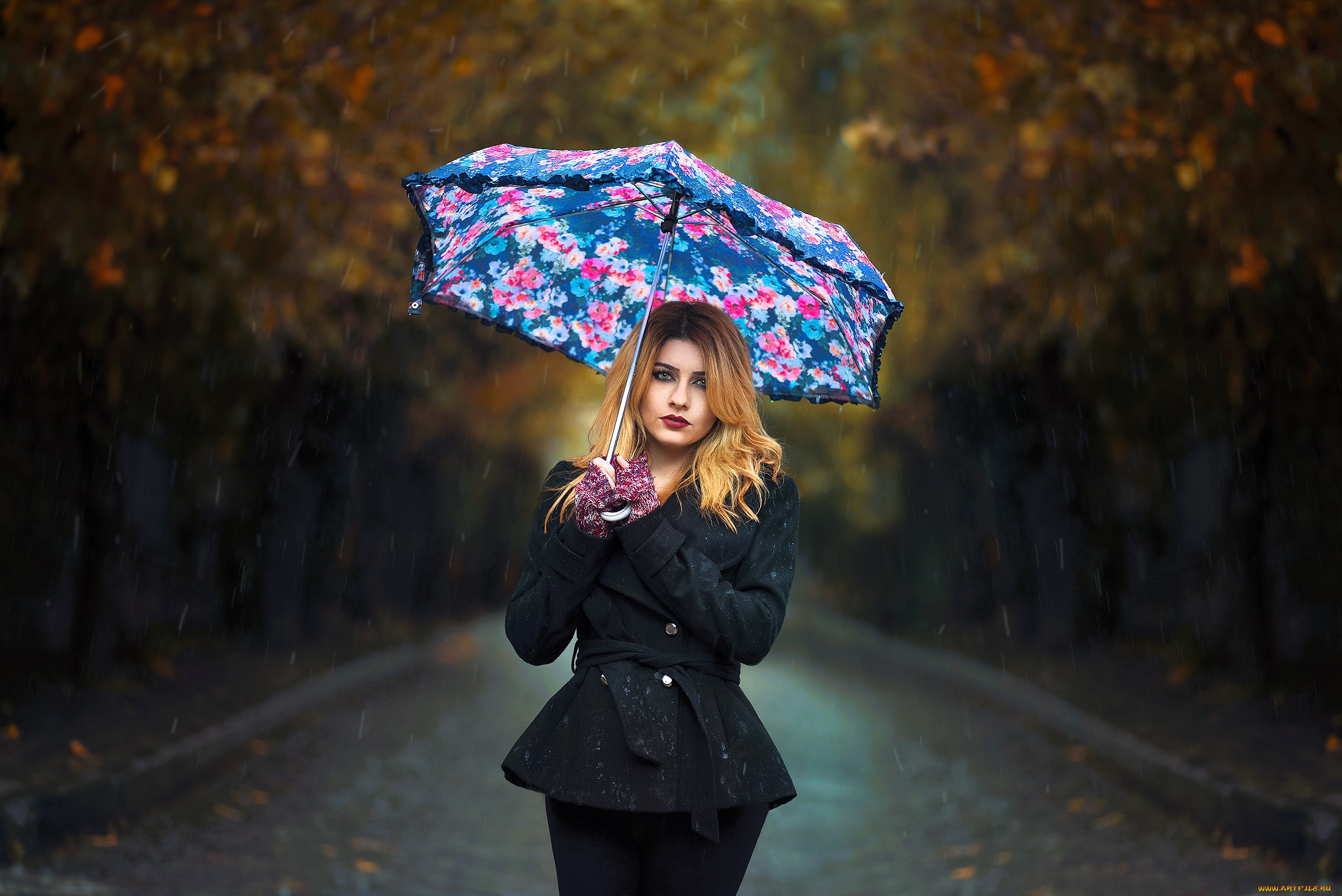 , - ,  , , , , , , , , 